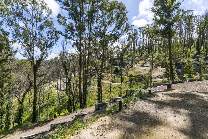 43 Karingal Drive, Wye River, VIC, Wye River - Thumbnail 4