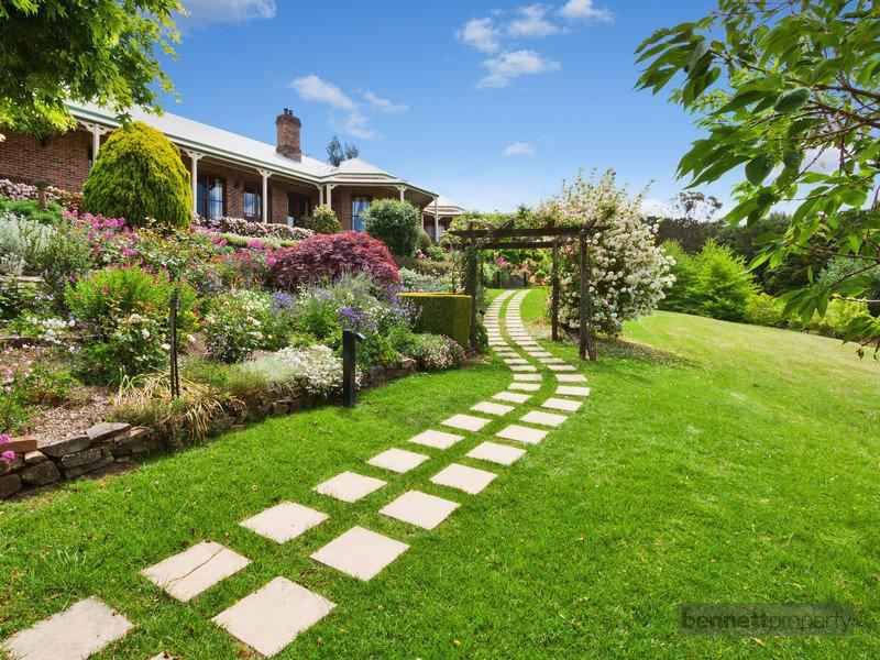 33 Douglas Road, Kurrajong Heights - Thumbnail 4