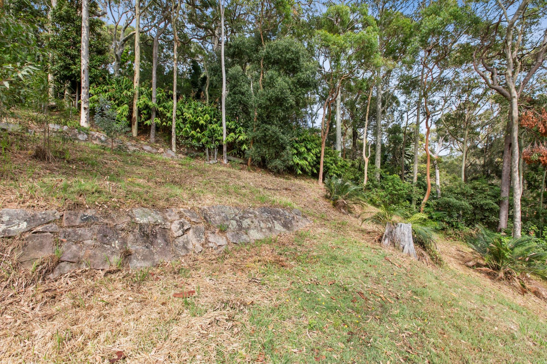 35a Queens Avenue Avalon Beach NSW, Avalon Beach - Thumbnail 7