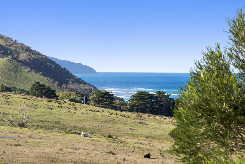 3 Point Avenue, Skenes Creek, VIC, Skenes Creek - Thumbnail 2