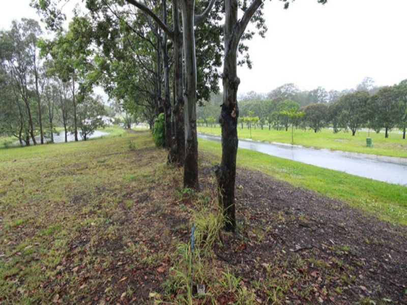 10 Celestial Court VALDORA QLD, Valdora - Thumbnail 6