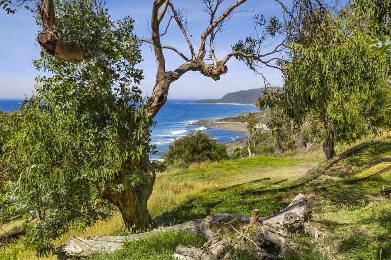 65 Morley Avenue, Wye River, VIC, Wye River - Thumbnail 2
