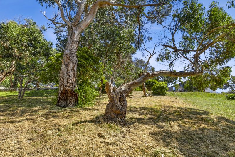65 Morley Avenue, Wye River, VIC, Wye River - Thumbnail 5