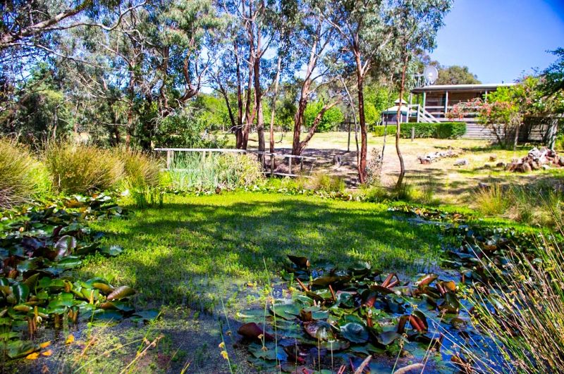 19 Combridge Drive, Beremboke - Thumbnail 5