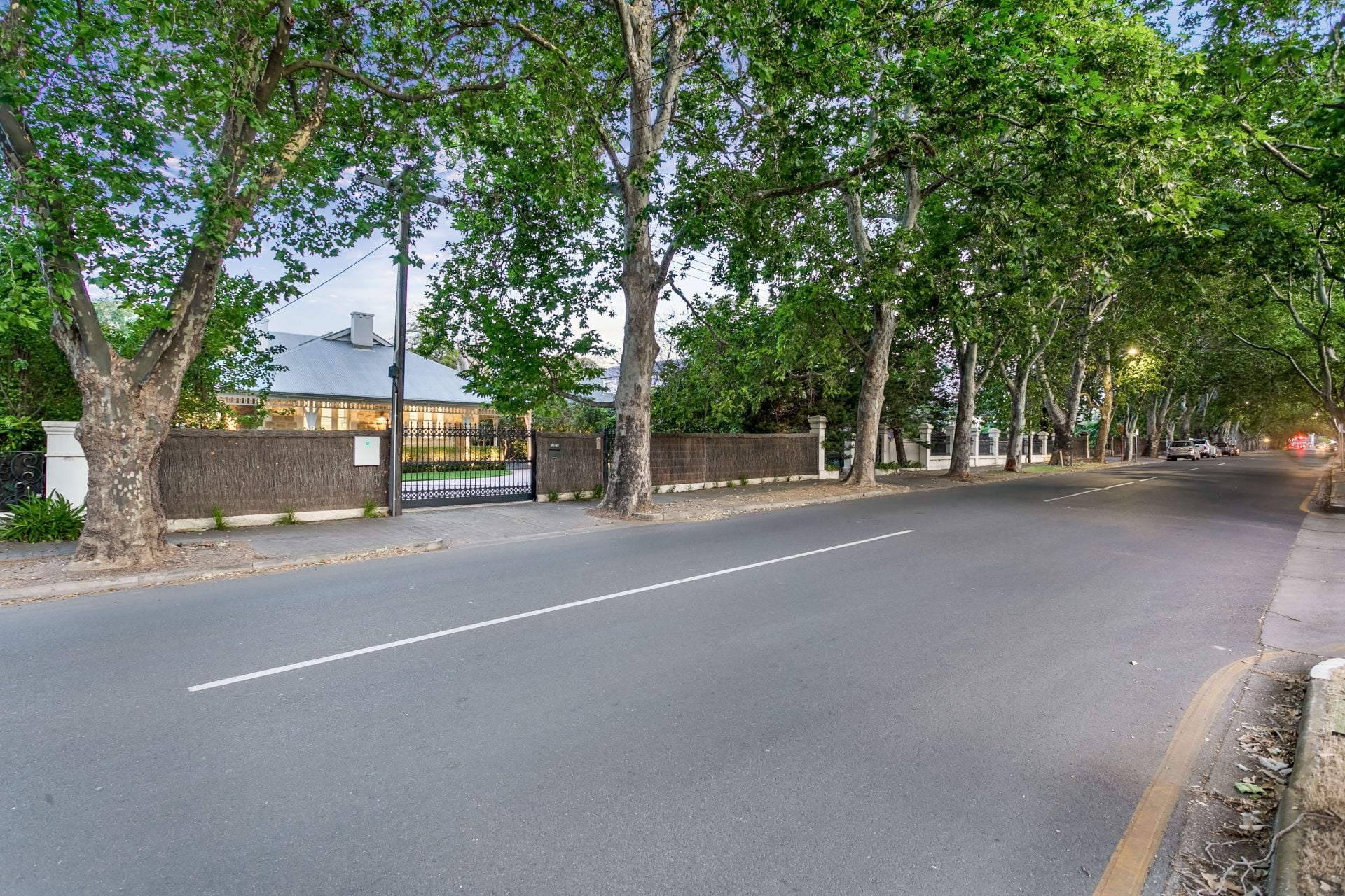 11 Victoria Avenue, Unley Park Williams Real Estate