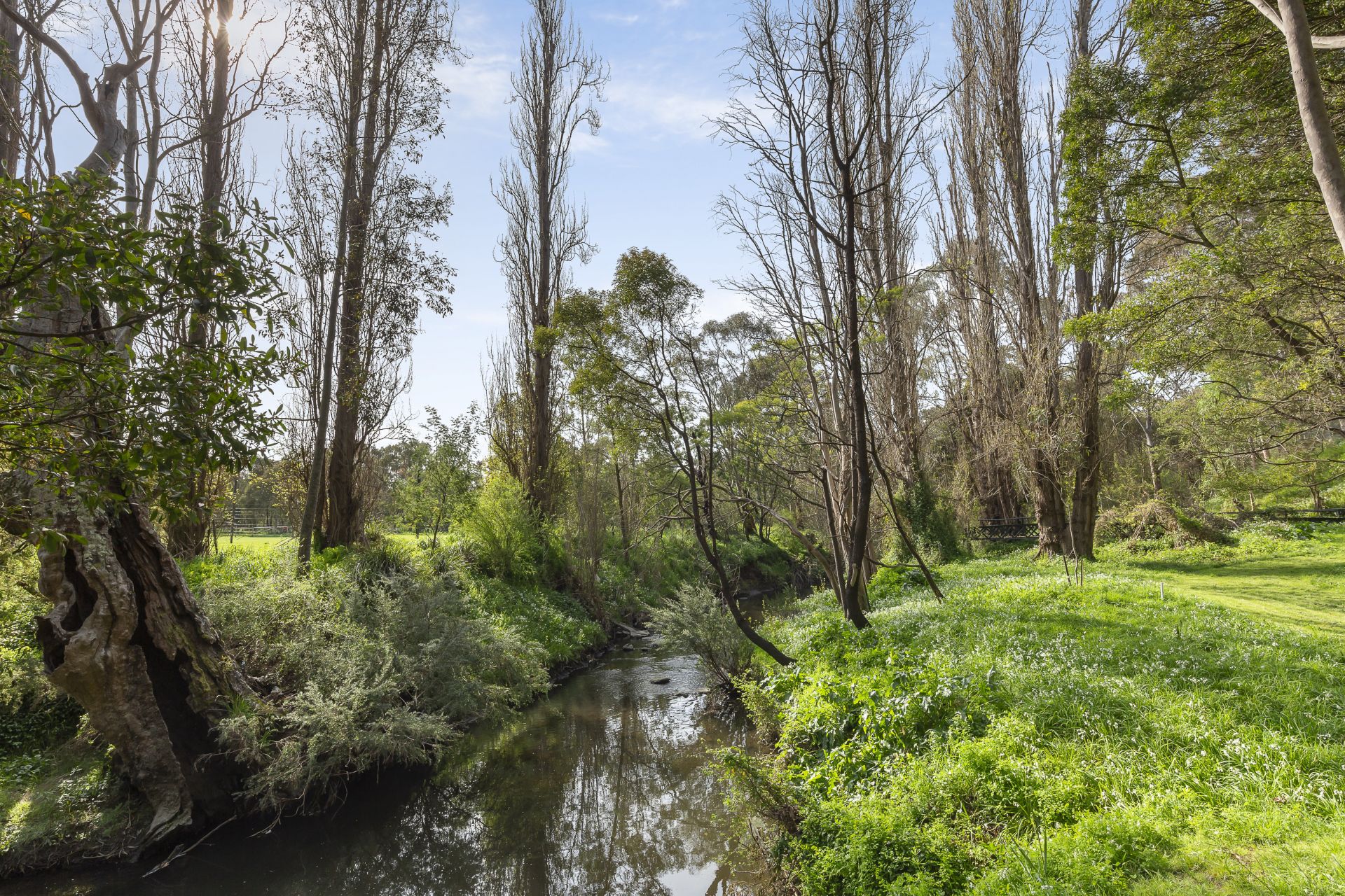 1713m2 in Fairy Hills Precinct