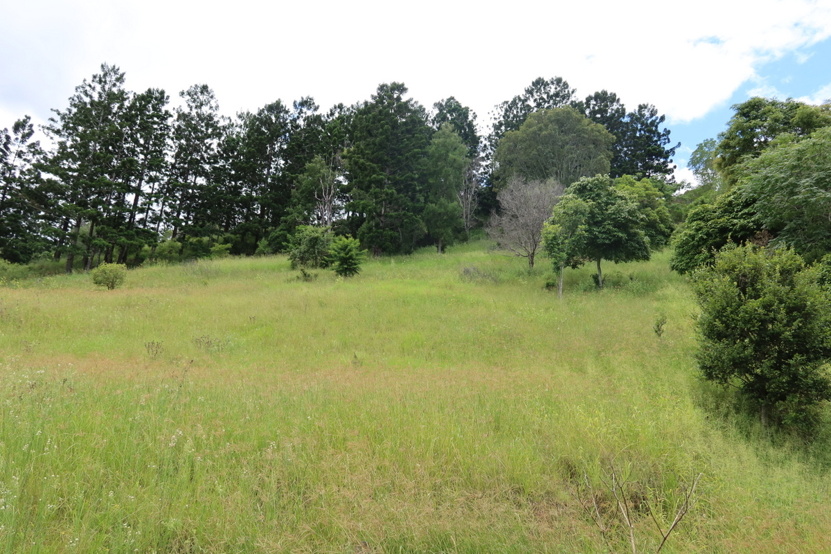 Real Estate For Sale 189A Snake Gully Road Palen Creek , QLD