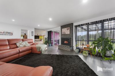 163A Winspears Road, East Devonport, East Devonport - Thumbnail 8