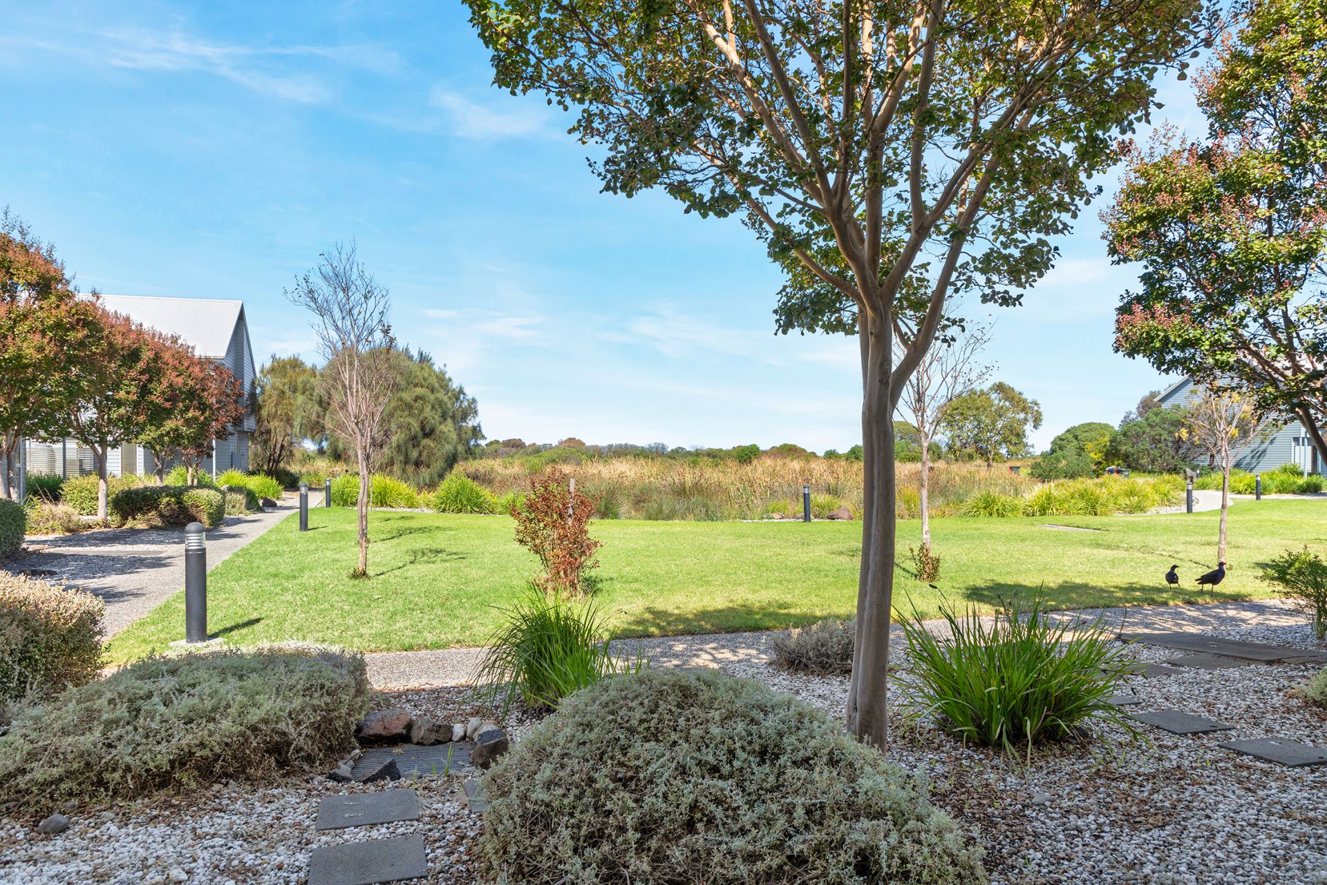 19 Pelican Terrace, Williamstown - Thumbnail 8