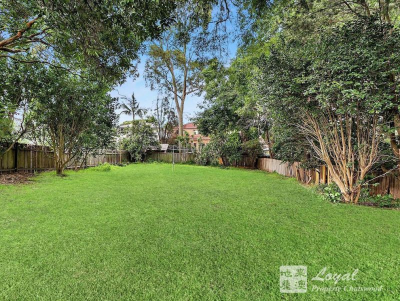 247 Buffalo Road Ryde NSW, Ryde - Thumbnail 7