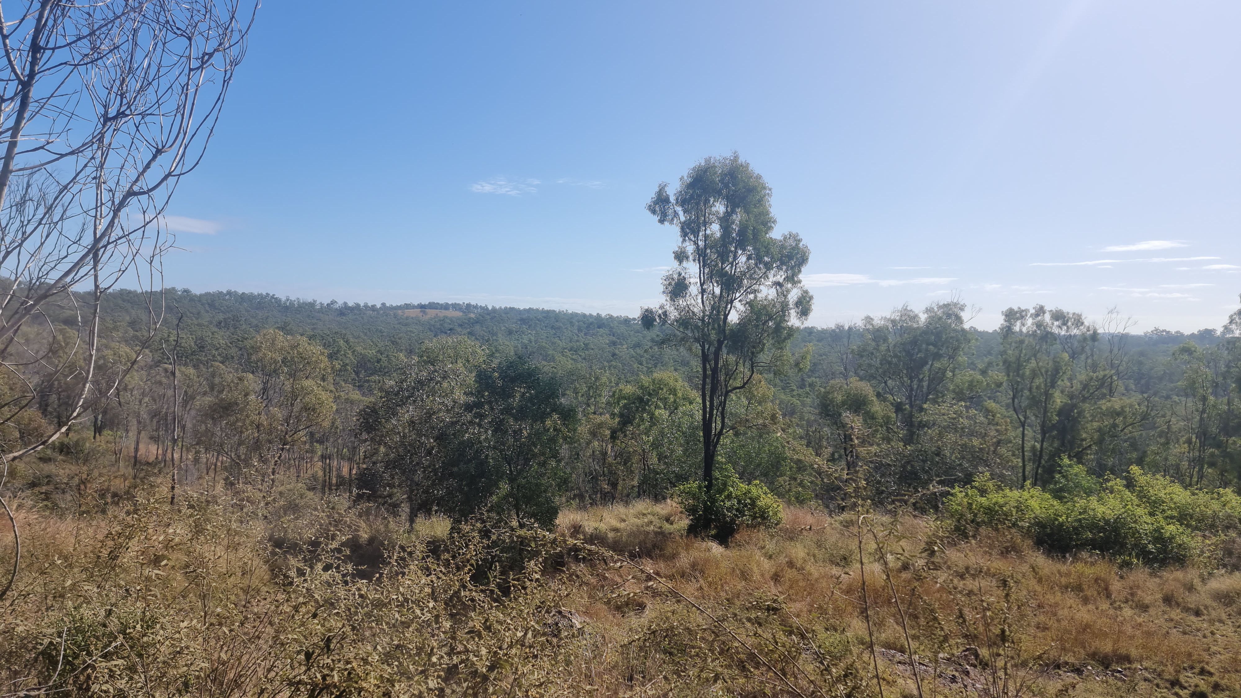 Real Estate For Sale 32 Nielsons Road Good Night , QLD