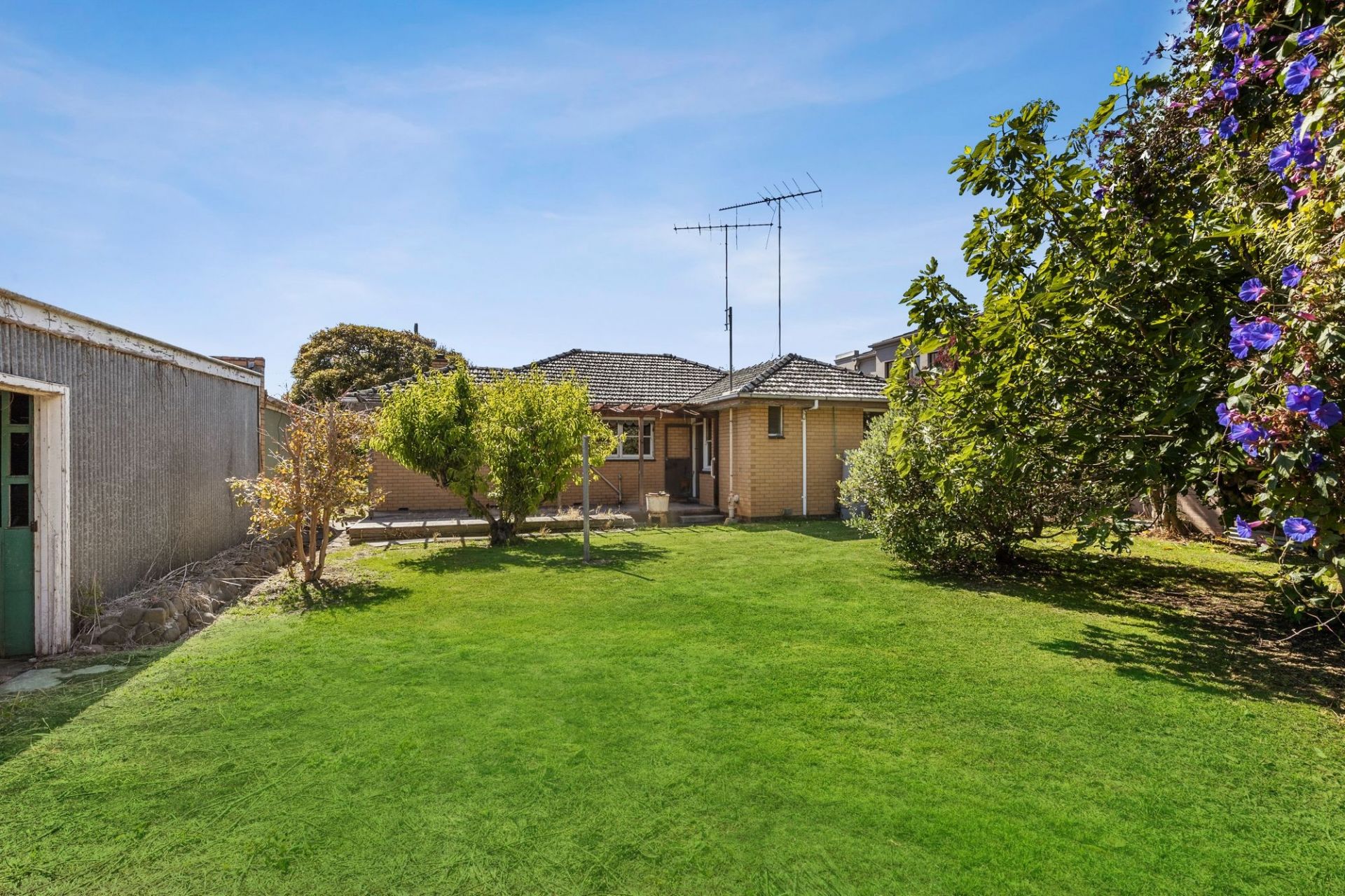 9 Margate Street Barwon Heads VIC, Barwon Heads - Thumbnail 6