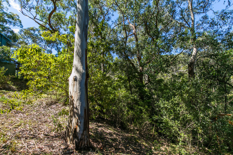 20 Richardson Boulevard, Lorne, VIC, Lorne - Thumbnail 5