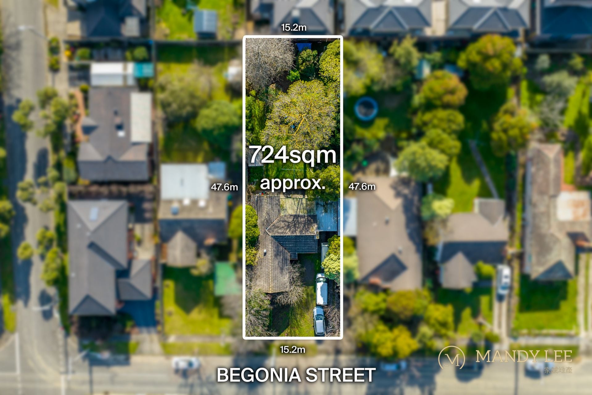 33 Begonia Street Box Hill South VIC, Box Hill South - Thumbnail 2