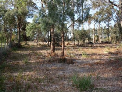 117 Panatana Drive, PORT SORELL, Port Sorell - Thumbnail 2