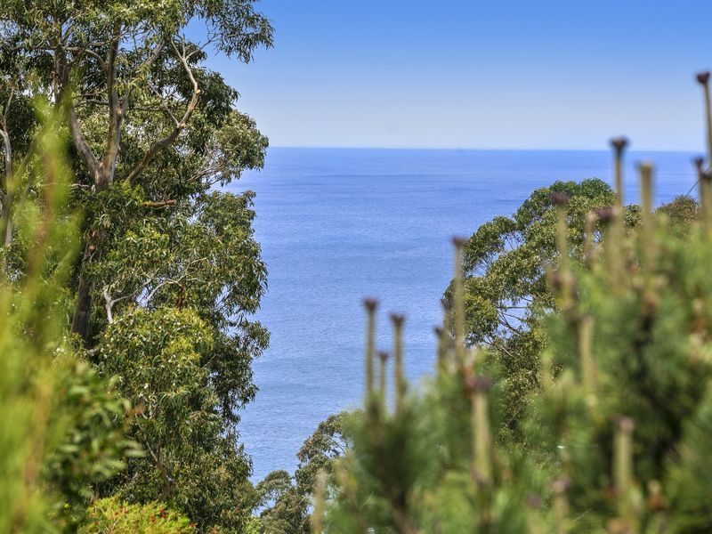 42 Ridge Drive, Kennett River, VIC, Kennett River - Thumbnail 4