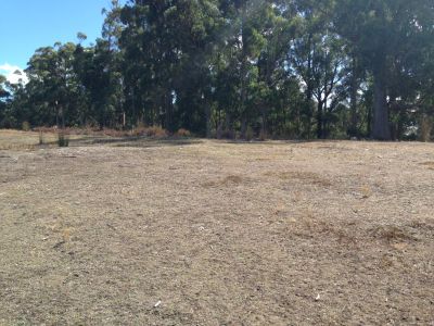 49 Roope Road, Lower Barrington, Lower Barrington - Thumbnail 7