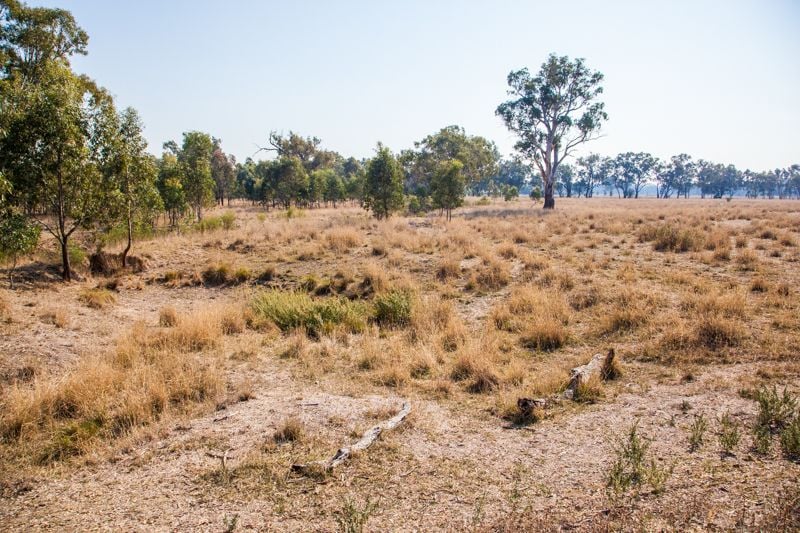 Molkentin Road Jindera NSW, Jindera - Thumbnail 7