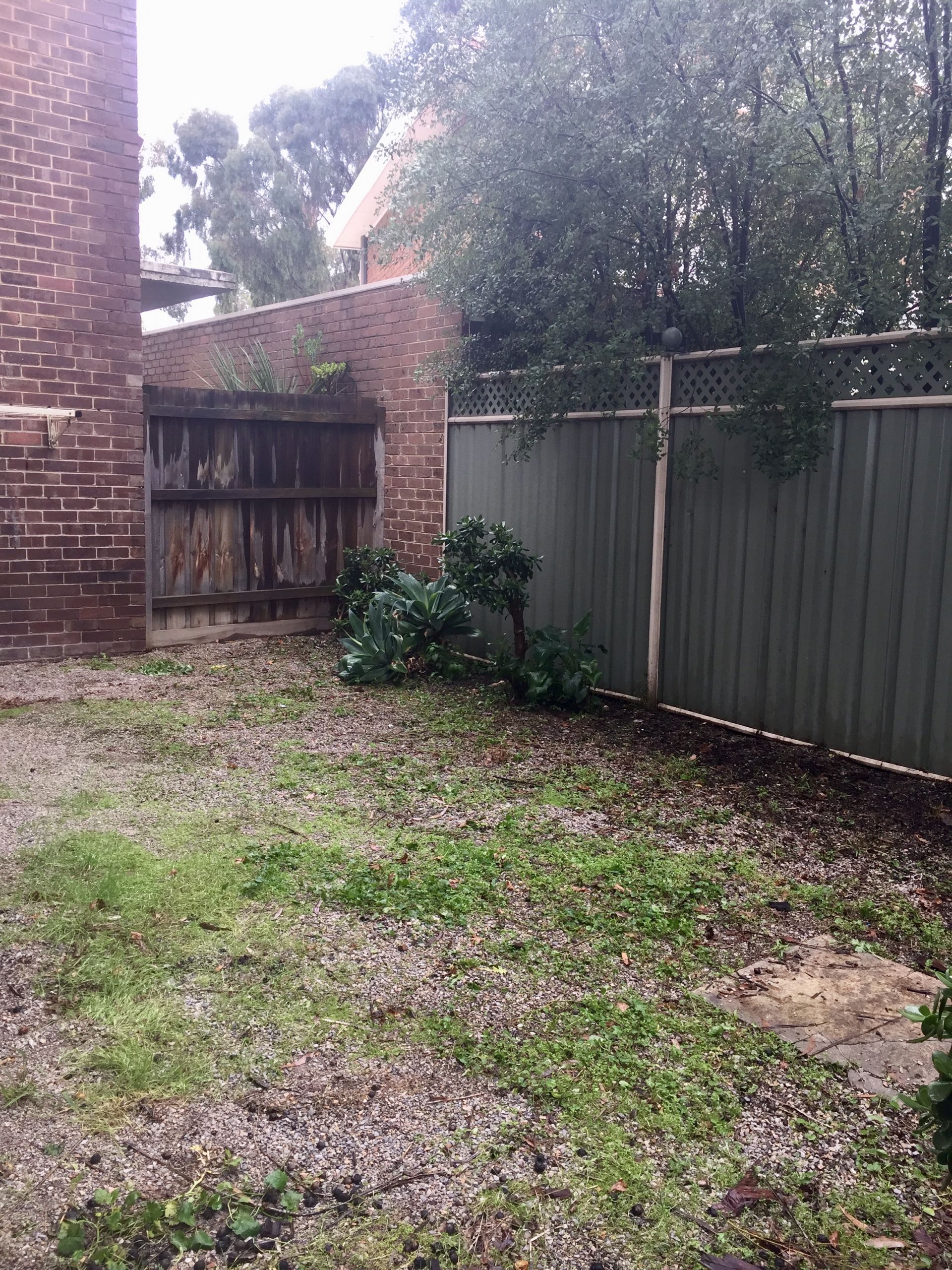 Large in Size, Bonus Courtyard!!