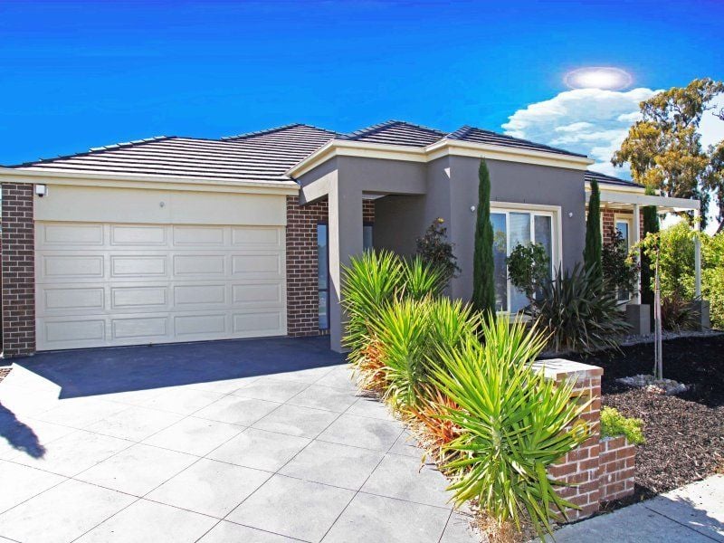 31 Torbreck Avenue SOUTH MORANG, South Morang - Thumbnail 3