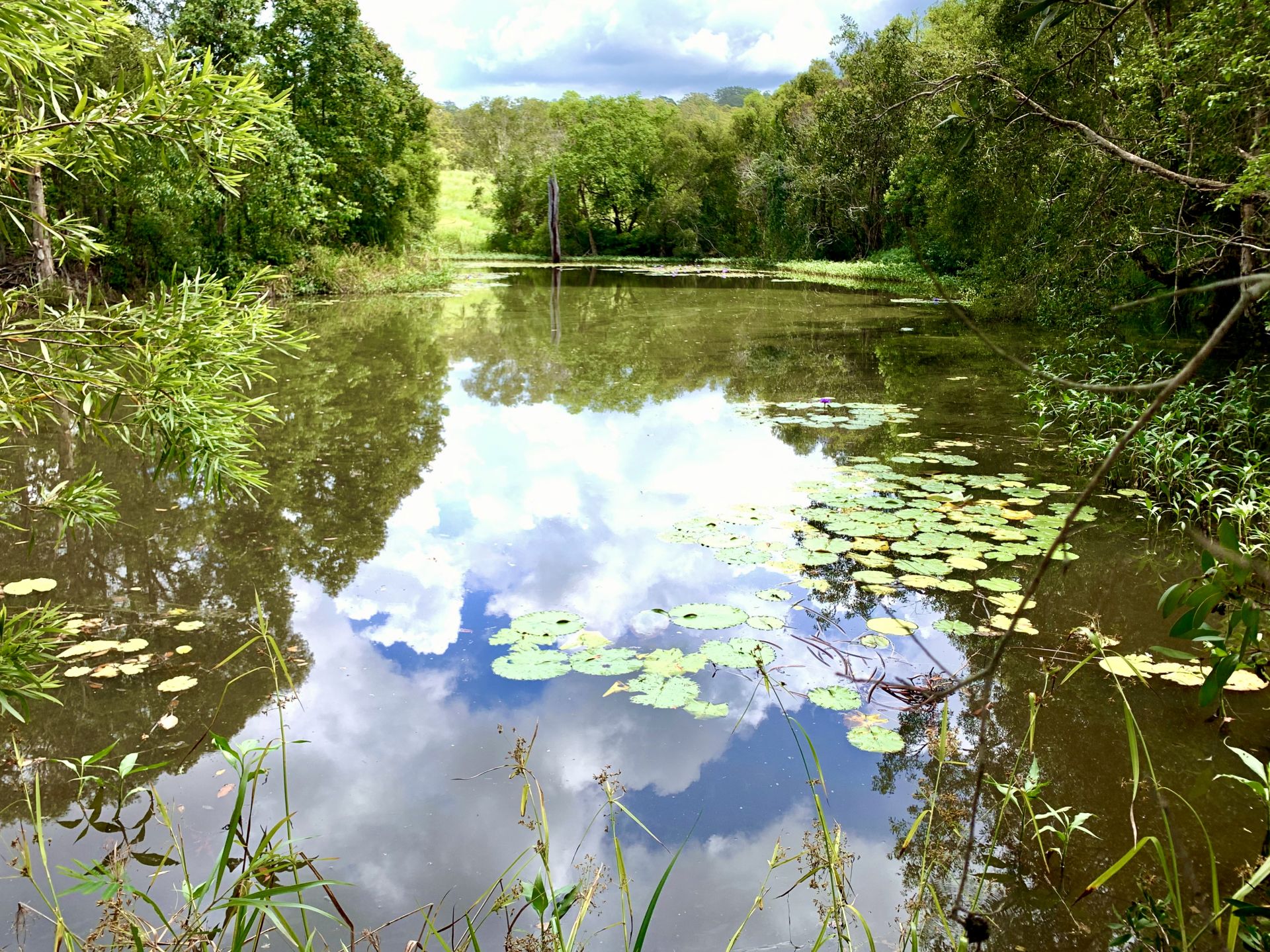 65 Stirling Road Peachester QLD, Peachester - Thumbnail 2