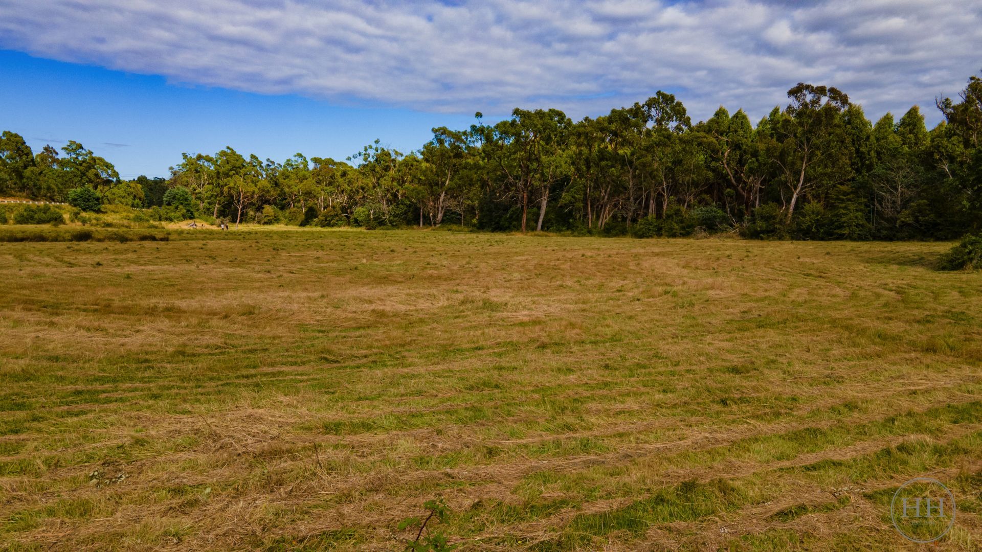 39080 Tasman Highway Nunamara, Nunamara - Thumbnail 8