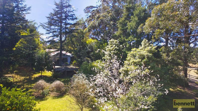 17 Hanlons Road, Bilpin - Thumbnail 8