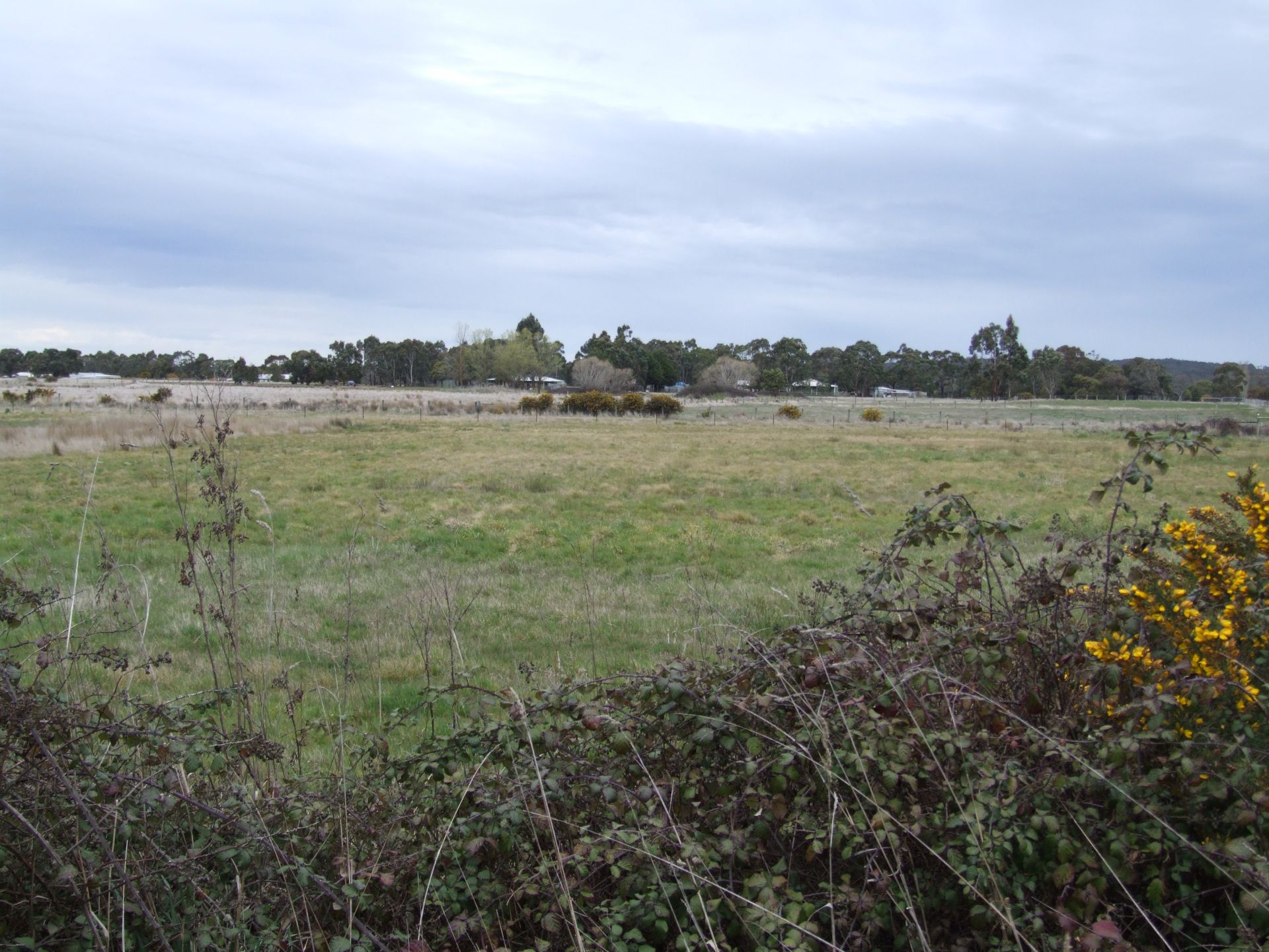 Lot 5 Section 9 Yendon No 2 Road, Yendon - Thumbnail 3