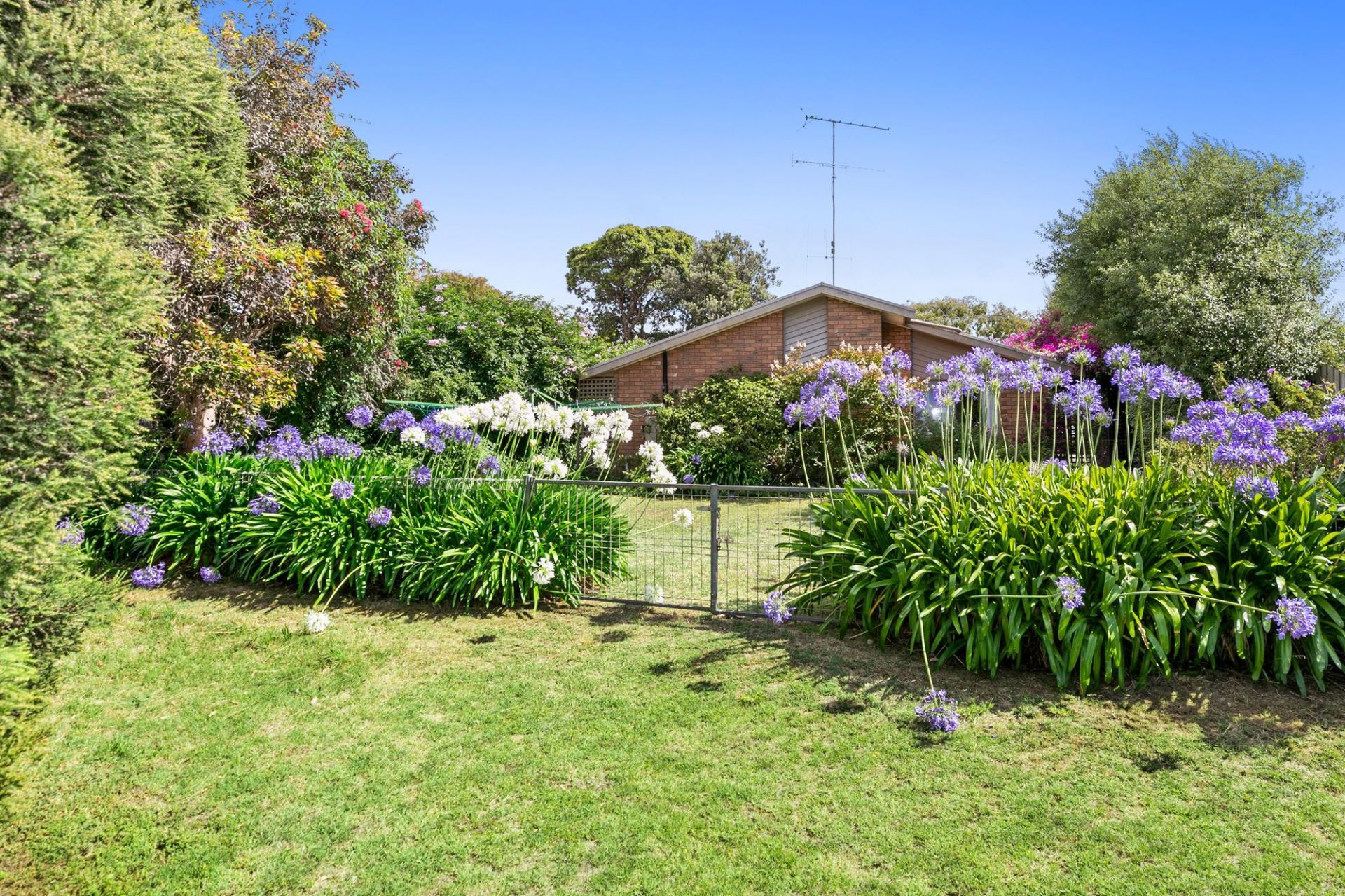 12 Tremont Court Barwon Heads VIC, Barwon Heads - Thumbnail 6