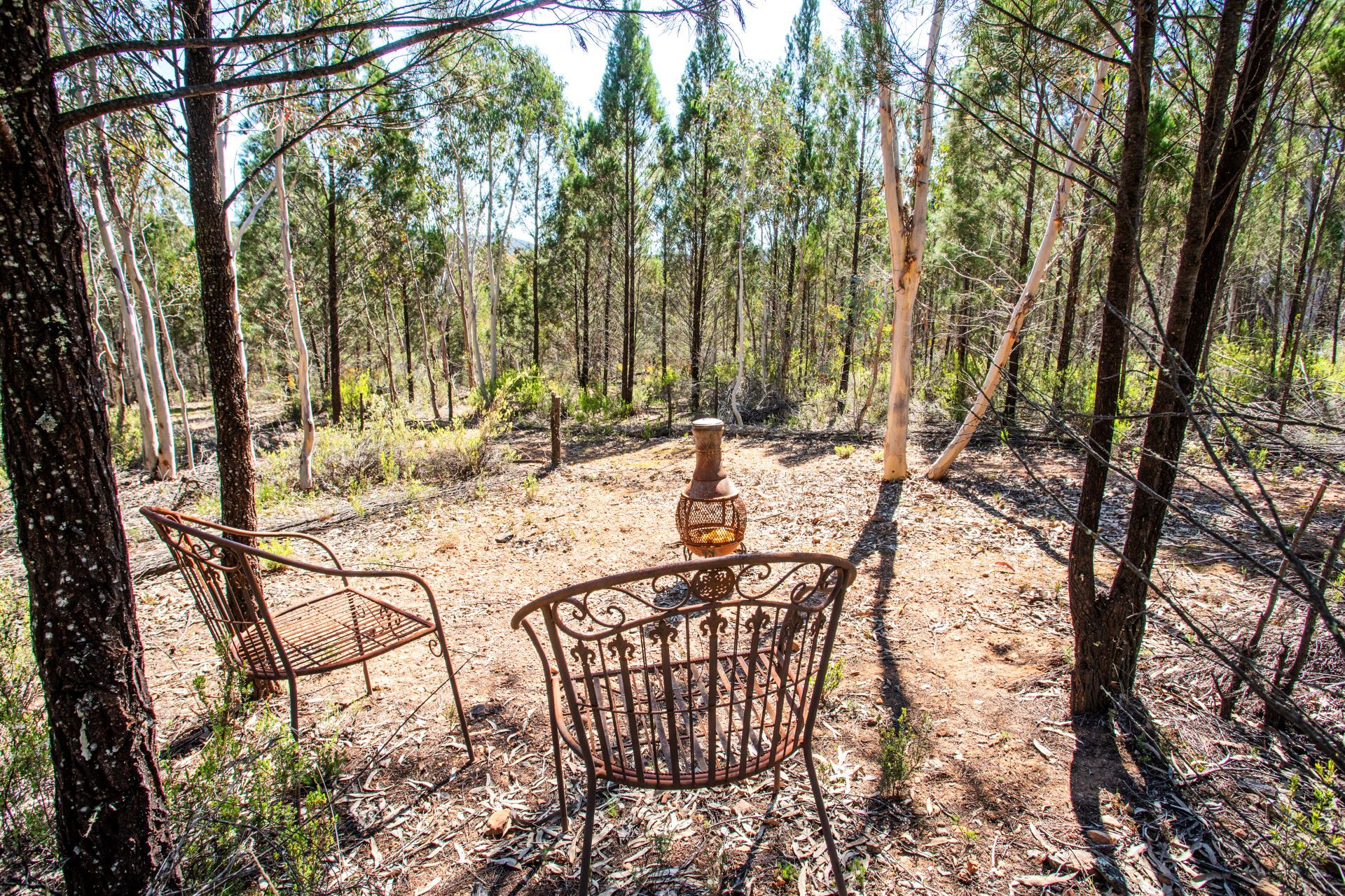 1761 Kangarooby Road, Gooloogong NSW, Gooloogong - Thumbnail 4