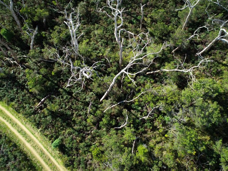 7 Otway Park Cape Otway VIC, Cape Otway - Thumbnail 3