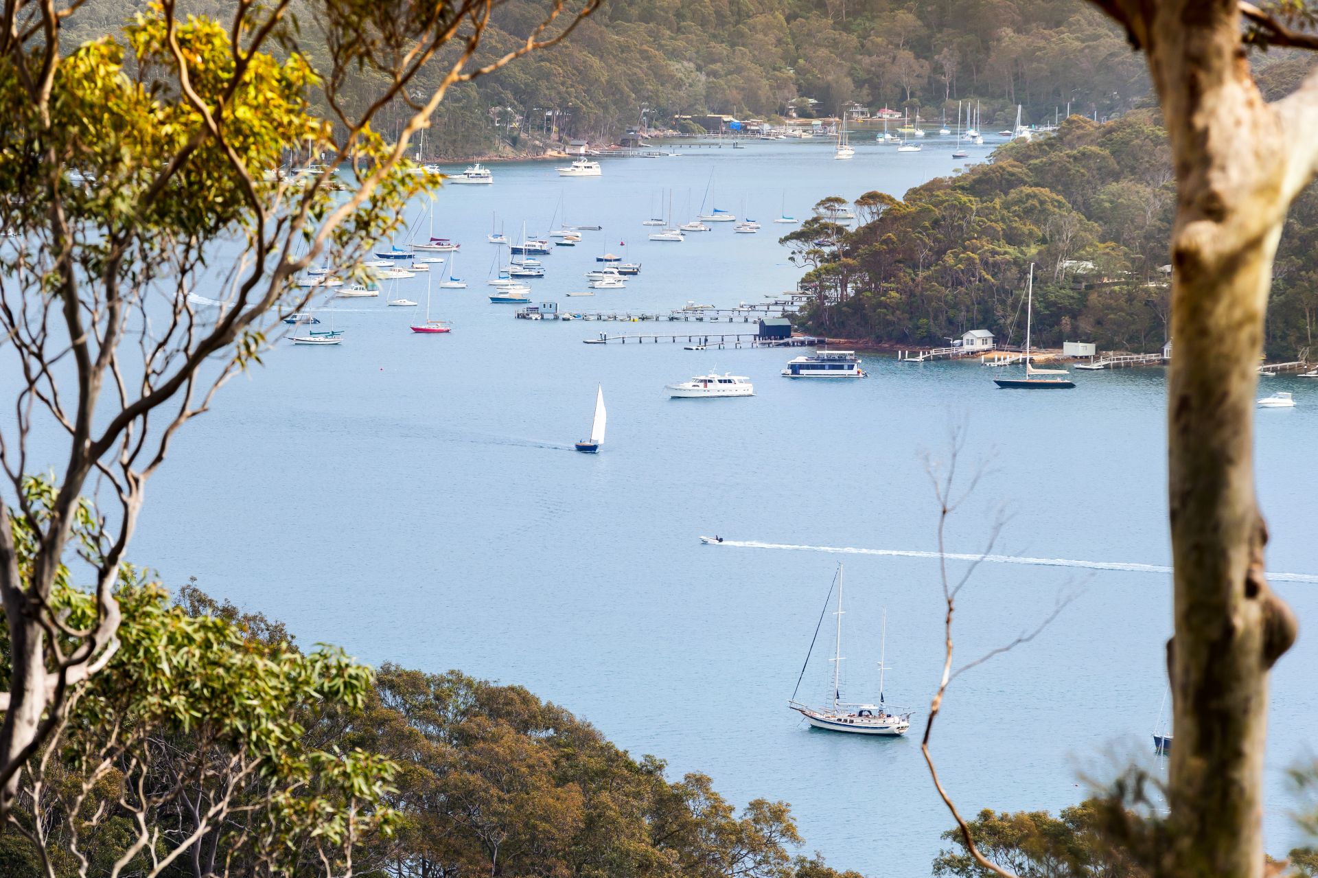 30 Birubi Crescent Bilgola Plateau NSW 2107, Bilgola Plateau - Thumbnail 5