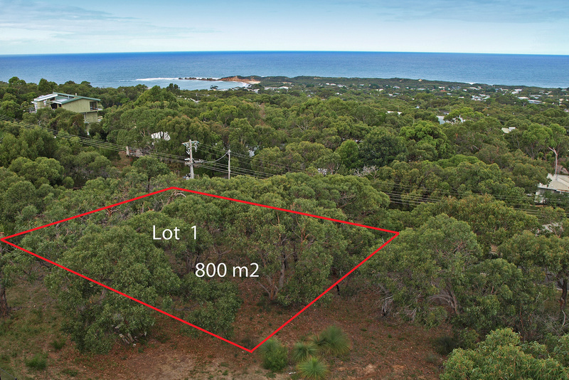 39 and 41  Second Avenue , Anglesea, VIC, Anglesea - Thumbnail 3