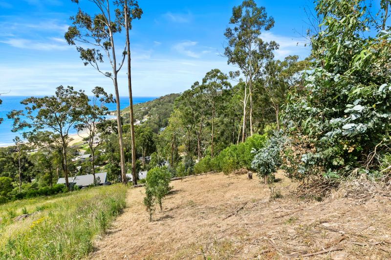 16 Karingal Drive, Wye River, VIC, Wye River - Thumbnail 4