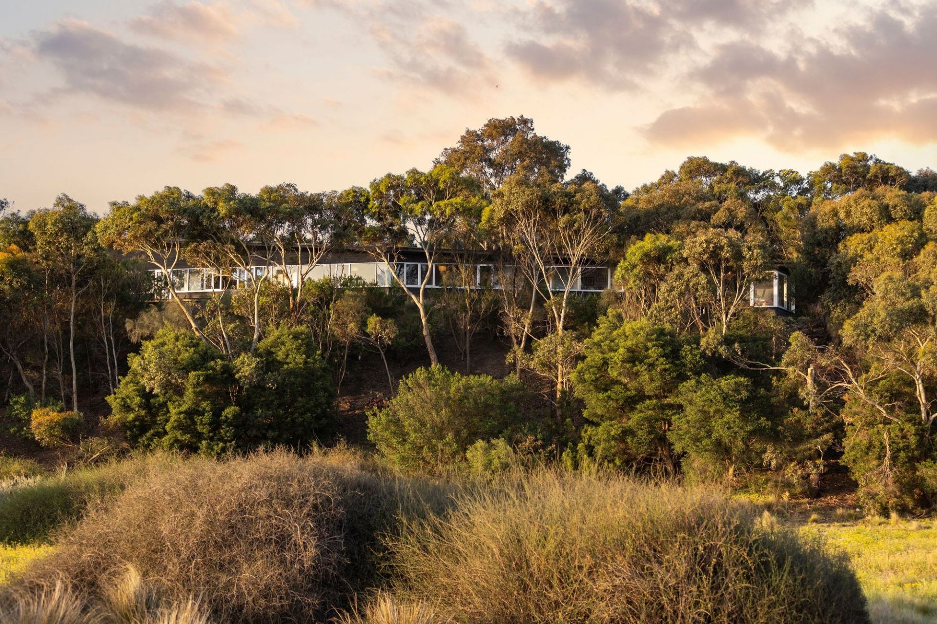15 Maloneys Road Leopold VIC, Leopold - Thumbnail 7
