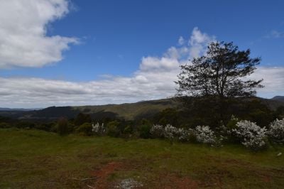 9 Smiths Plains Road, South Nietta, South Nietta - Thumbnail 5