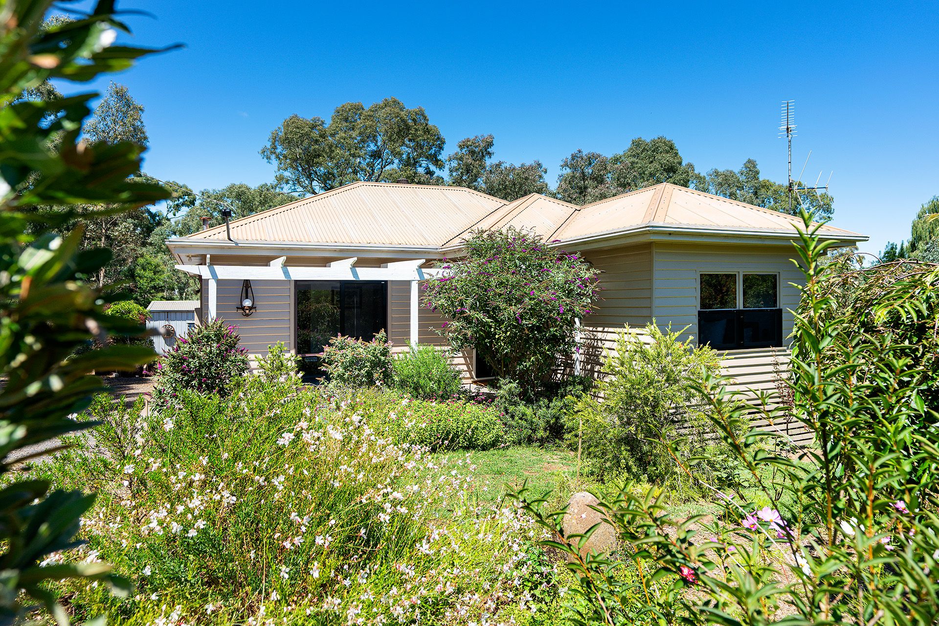 16 Chapmans Road, Castlemaine - Thumbnail 2