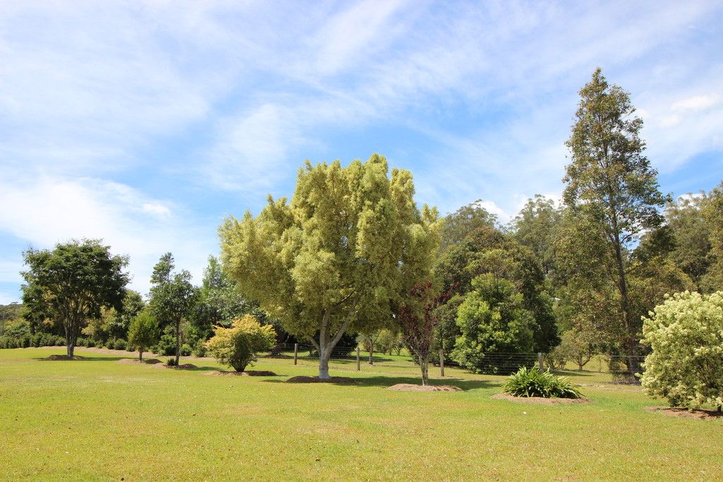24 Kingsford Road, LOGANS CROSSING NSW 2439