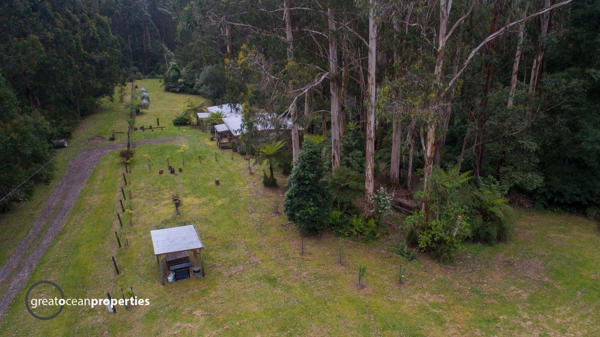 65 Upper Gellibrand Road, Forrest - Thumbnail 4