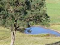 310 Parkers Road, Wuk Wuk - Image 1