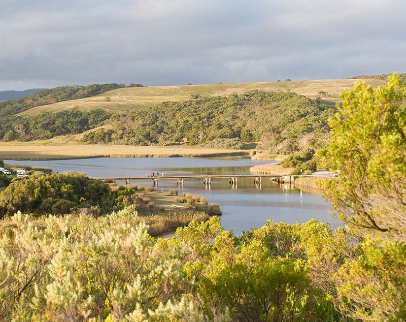 615 Hordern Vale Road, Cape Otway - Image 1