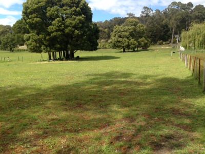 59 Kimberley Road, Railton, Railton - Thumbnail 2