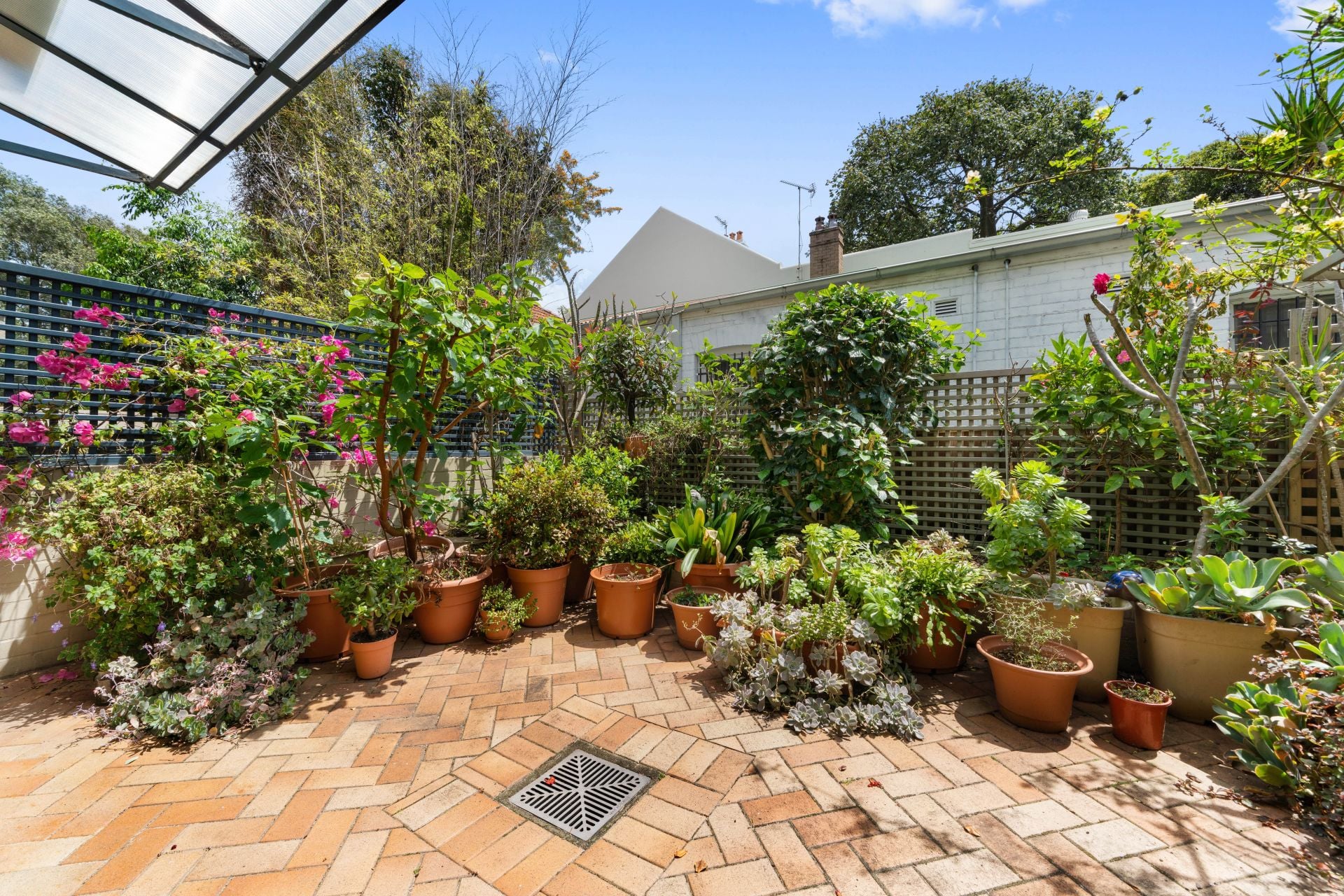 18/6-10 Dine Street, Randwick, Randwick - Thumbnail 4