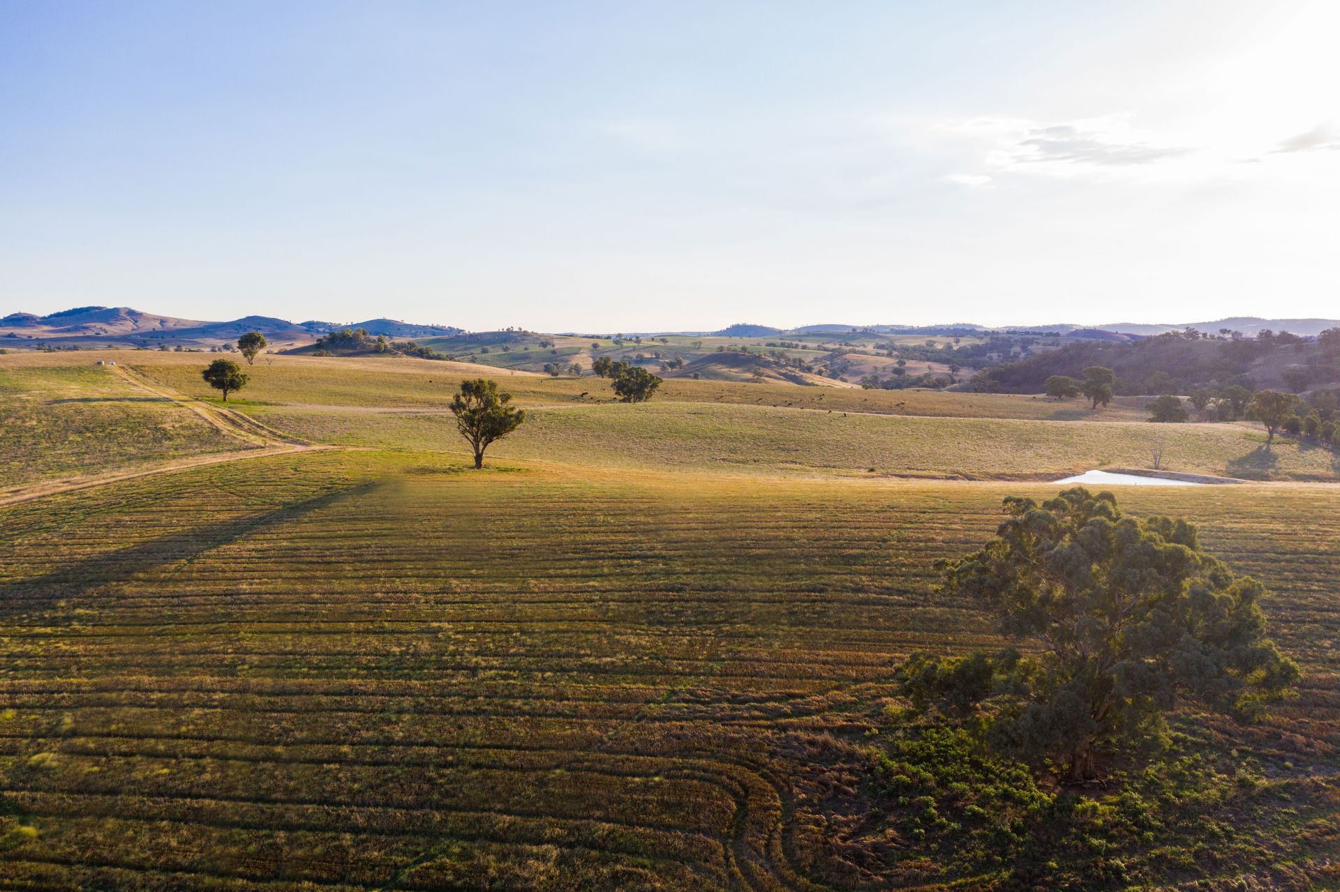 825 Frogmore Road Road, Frogmore NSW, Frogmore - Thumbnail 3