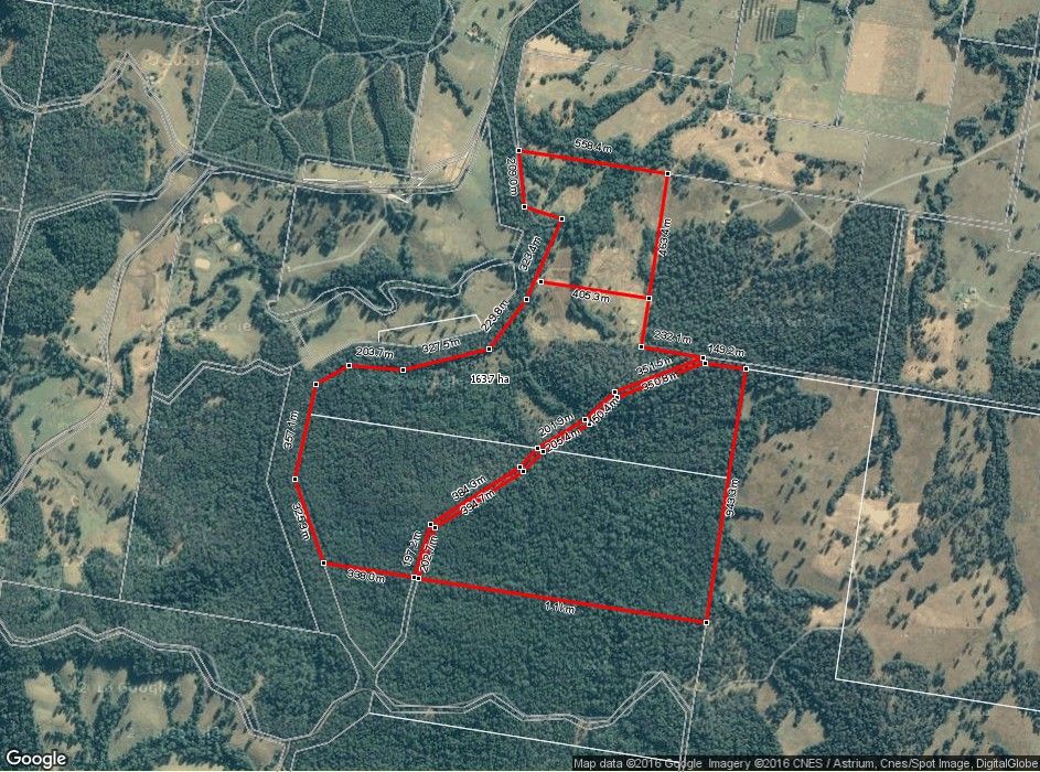 449 Bril Bril Road, ROLLANDS PLAINS NSW 2441