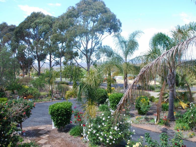 232 Bald Hills Road, Bald Hills