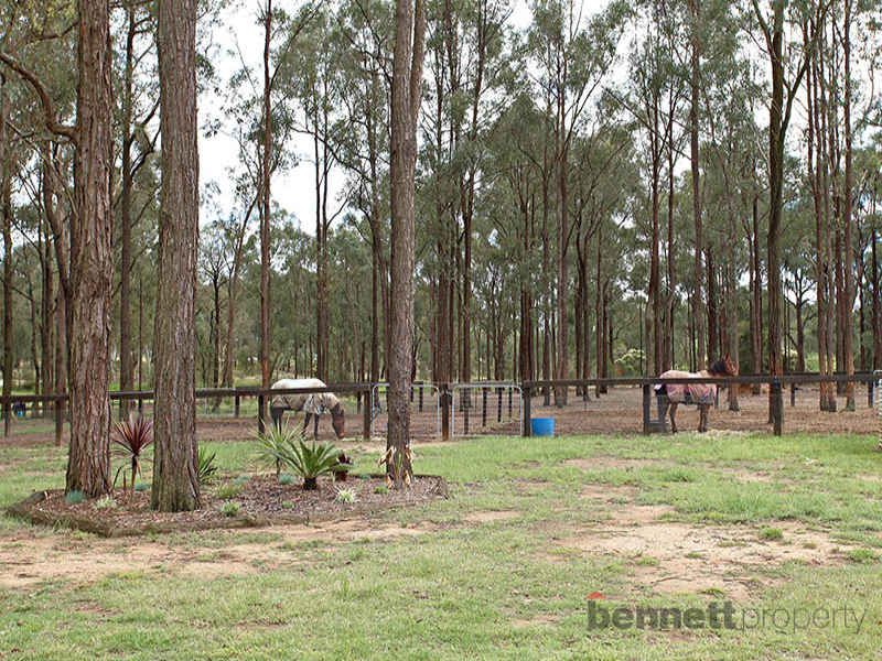 LONDONDERRY, NSW, Londonderry - Thumbnail 4
