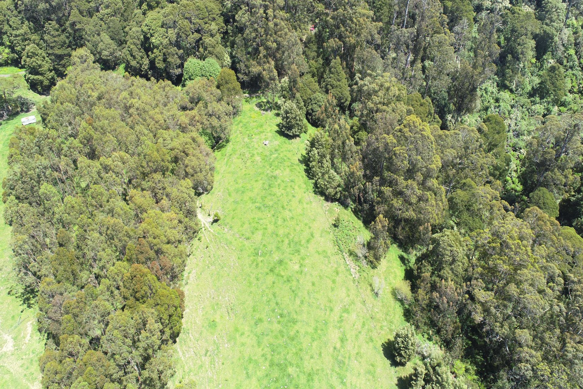 Lot 1/1150 Great Ocean  Road, Apollo Bay - Thumbnail 6