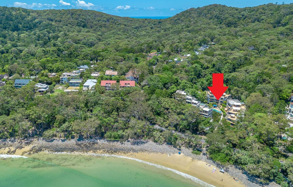 Real Estate For Sale 5/24 Little Cove Road Noosa Heads , QLD