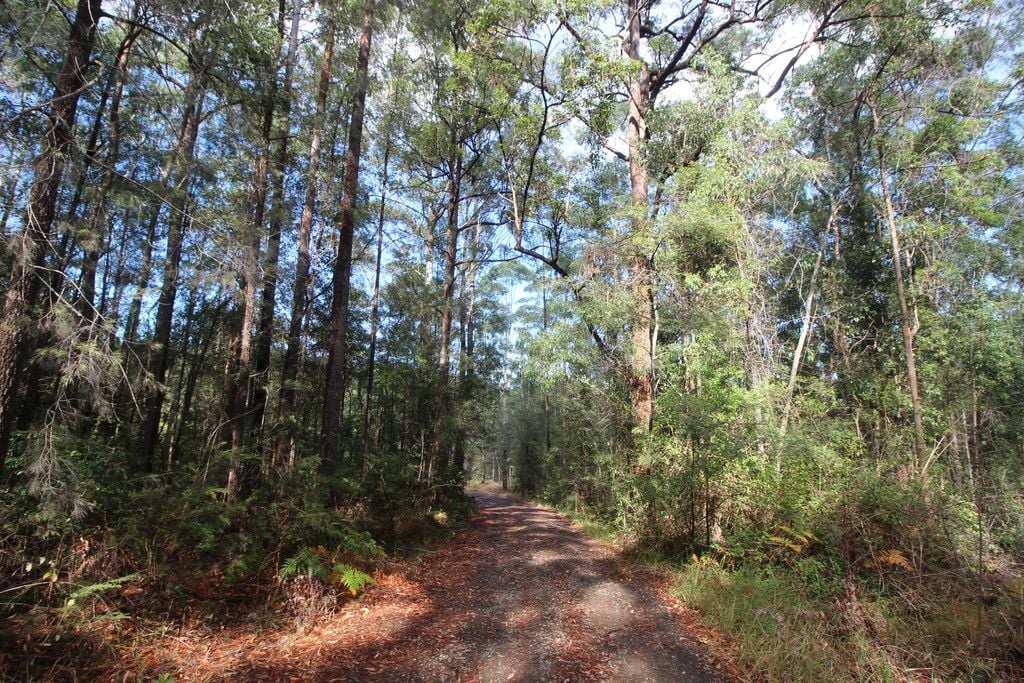 , TELEGRAPH POINT NSW 2441